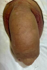 WhatsApp Image 2024-09-26 at 00.09.17 (1)